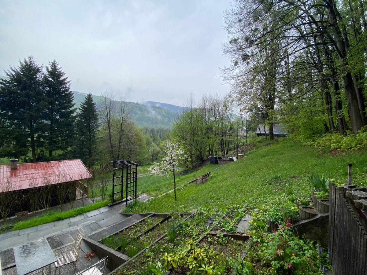 Pod Javorovym Trinec